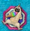 Pugicorn eats ice cream on ring in pool