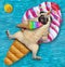Pugicorn in pool on ring eats ice cream