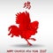 Pugnacious red rooster on white