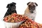 Pugs and dog food