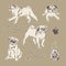 Pugs and vintage fashion accessories. Hand drawn vector sketch pets set