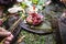 Puja or pooja prayer ritual being performed