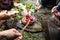 Puja or pooja prayer ritual being performed