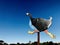 A Pukeko bird sign with a blue sky background.