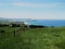 Puketeraki Lookout of Karitane Beach