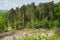 Pulborough Brooks nature reserve, Sussex, UK