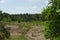 Pulborough Brooks nature reserve, Sussex, UK