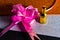 Pull Flower Ribbon for Gift Wrap and Rich Scent Bottle