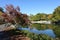 Pullen Park Landscape in Raleigh, North Carolina