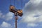 Pulley of a tower crane with fastening hook and chain