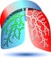 Pulmonary diagnostics