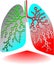 Pulmonary diagnostics