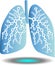 Pulmonary diagnostics