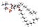 Pulmonary surfactant molecule. Chemical structure of dipalmitoylphosphatidylcholine DPPC the major constituent of lung.