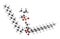 Pulmonary surfactant molecule. Chemical structure of dipalmitoylphosphatidylcholine DPPC the major constituent of lung.