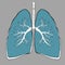 Pulmonology illustration. Flat tiny lungs healthcare persons concept. Abstract respiratory system examination and