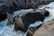 Pulo do Lobo waterfall with river guadiana and rock details in Mertola Alentejo, Portugal