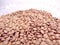 Pulses seed legumes organic natural