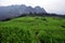 Puluong, the wonderful rice fields