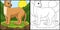 Puma Animal Coloring Page Colored Illustration