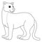 Puma Animal Isolated Coloring Page for Kids