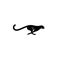 Puma cheetah logo icon designs vector