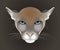 Puma, cougar vector portrait isolated on dark background