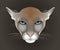 Puma, cougar vector portrait isolated on dark background