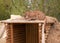 Puma crouching on shelter roof