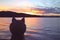 Puma Head Prow of the Traditional Totora Reed Boat against Lake Titicaca at Beautiful Sunset, Puno, Peru