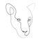 Puma, lioness, jaguar head line art drawing. Continuous one line drawing silhouette. Leopard for company logo identity