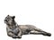 The Puma is lying full length and looks away with a calm balanced gaze and hind legs are folded to the side