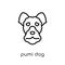 Pumi dog icon. Trendy modern flat linear vector Pumi dog icon on