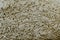 Pumice stone background texture