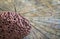 pumice stone with a cord on old wooden background