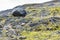 pumice stones in valley of Solheimajokull glacier