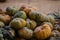 Pumkins at the market