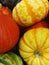 Pumkins and Squashes colours october halloween carving autumn fall