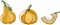 Pumkins. Vegetable set. Doodle vector flat illustration