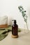 Pump amber glass bottle on wooden stand. Soap liquid, shampoo or shower gel packaging design