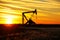 Pump jack in the oil field at sunset