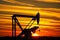 Pump jack in the oil field at sunset