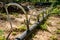 Pumping station. groundwater drainage system pumps water out of the ground. dehydration gravel rural route