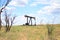 Pumpjack in Field