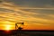 Pumpjack in the oil field at sunset