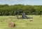 Pumpjack surrounded by hay bales in the State of Oklahoma in the United States of America.