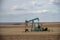 Pumpjacks working in the oil fields of Alberta