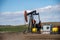 Pumpjacks working in the oil fields of Alberta