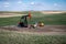 Pumpjacks working in the oil fields of Alberta