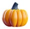 Pumpkin 3d art, 3d stylized cartoon illustration for Thanksgiving. 3d rendered model of pumpkin